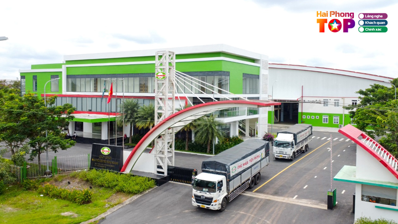 Cong-ty-co-phan-nhua-thieu-nien-tien-phong-5