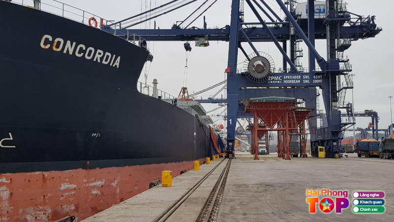 Cong-ty-cp-van-tai-va-thuong-mai-xuan-truong-hai-2