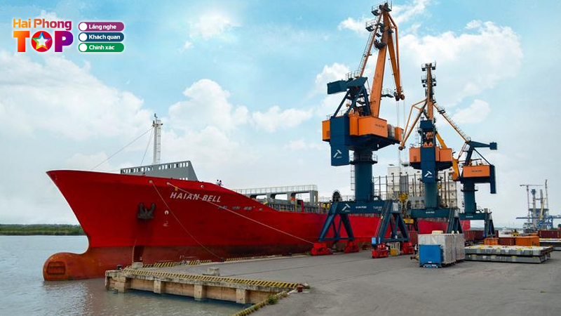 Cong-ty-cp-van-tai-va-thuong-mai-xuan-truong-hai-3