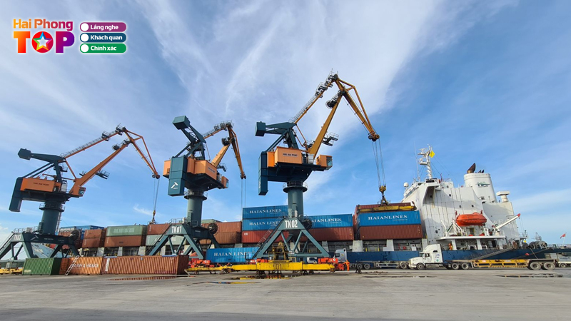 Cong-ty-cp-van-tai-va-thuong-mai-xuan-truong-hai-4