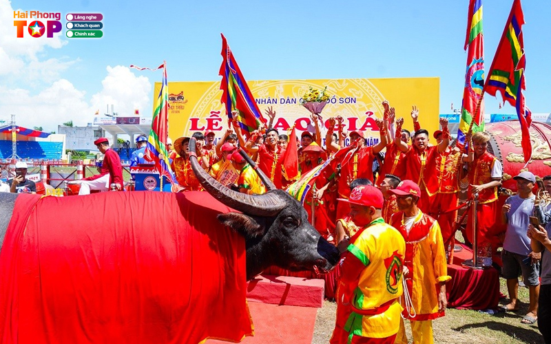 Le-hoi-truyen-thong-choi-trau-do-son-haiphongtoplist