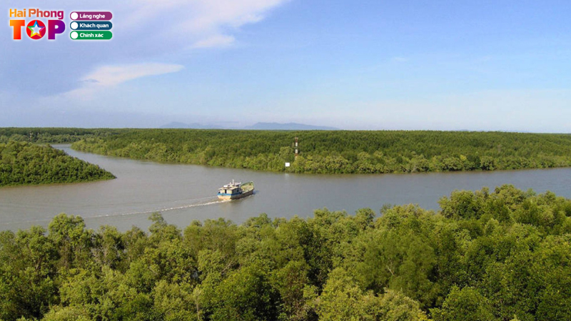 Nhung-diem-tham-quan-noi-bat-tai-khu-sinh-du-lich-sinh-thai-rung-ngap-man-xa-dai-hop-1