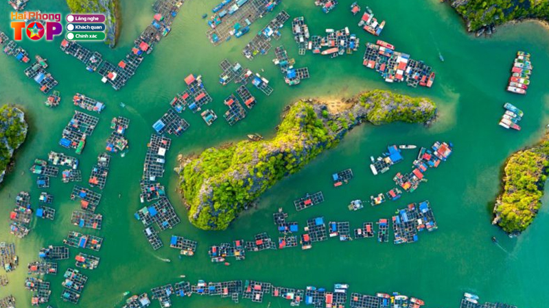 Nhung-hoat-dong-nen-trai-nghiem-khi-den-vinh-lan-ha-haiphongtoplist-3