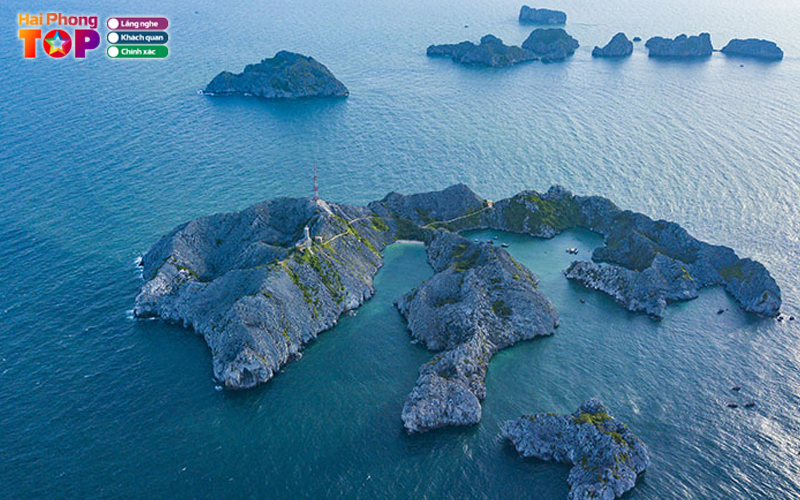 Nhung-luu-y-ban-can-quan-tam-khi-toi-dao-long-chau-haiphongtoplist