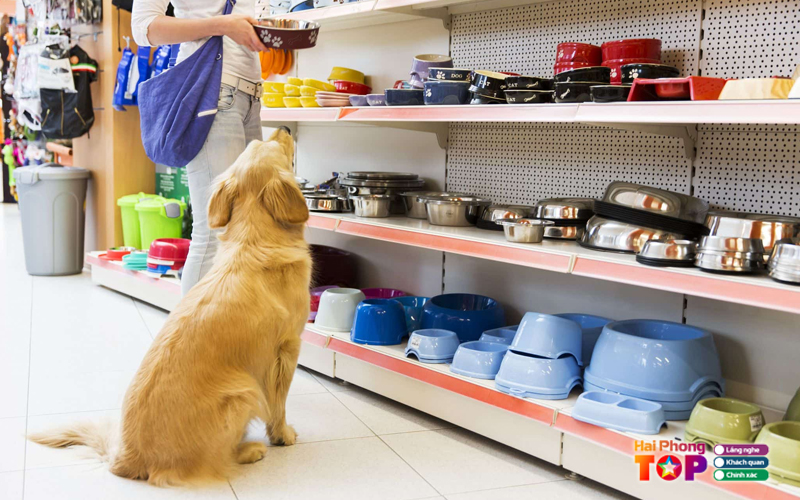 Pet-shop-be-dau-haiphongtoplist