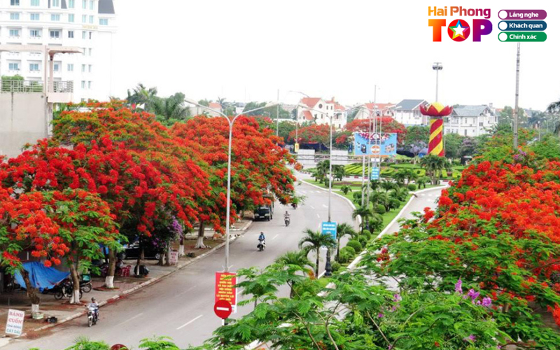 Top-10-bai-hat-hay-ve-hai-phong-lam-long-nguoi-xao-xuyen-3