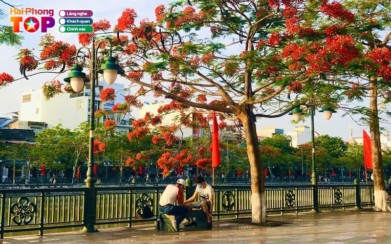 Top-10-bai-hat-hay-ve-hai-phong-lam-long-nguoi-xao-xuyen-4