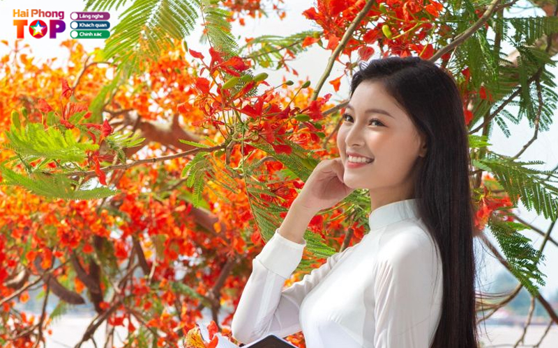 Top-10-bai-tho-ve-hai-phong-1