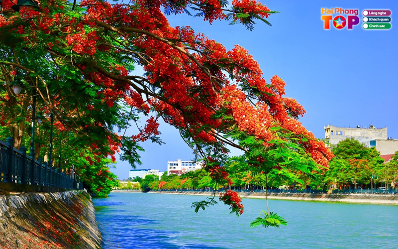 Top-10-bai-tho-ve-hai-phong-4