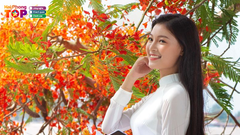 Top-10-bai-tho-ve-hai-phong-chan-hoa-tinh-yeu-que-huong-dat-nuoc-1