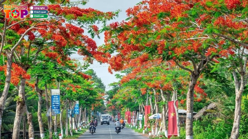 Vi-sao-hai-phong-goi-la-thanh-pho-hoa-phuong-do