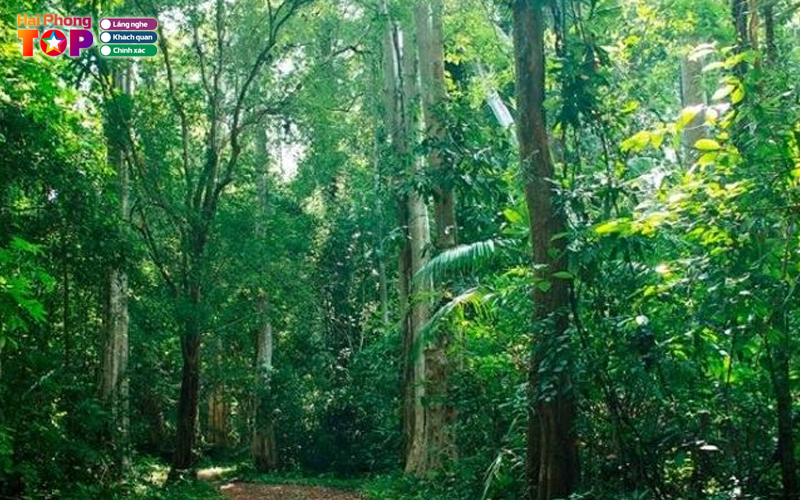 Vuon-quoc-gia-cat-ba-haiphongtoplist-3