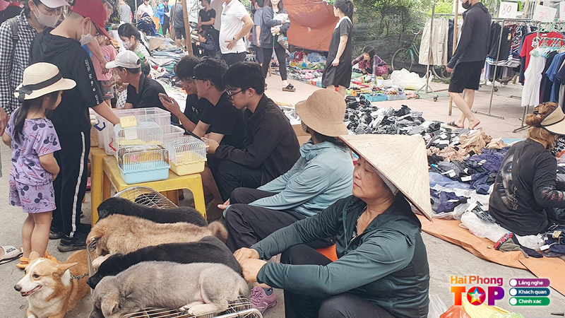 Cho-hang-hai-phong-1