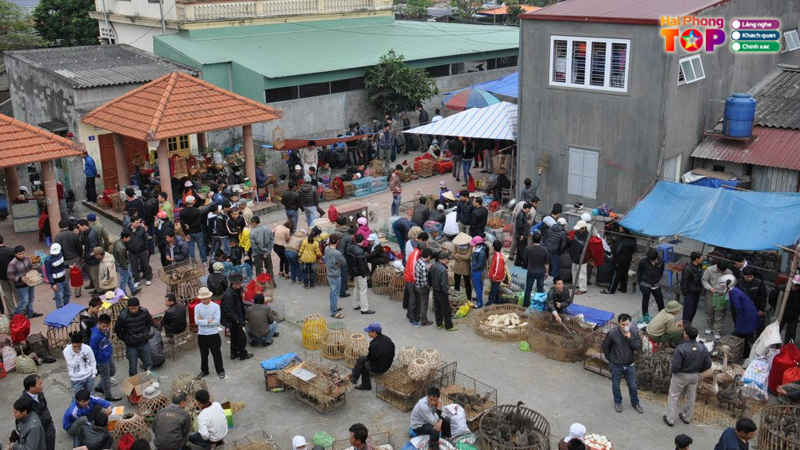 Cho-tam-bac-hai-phong-1