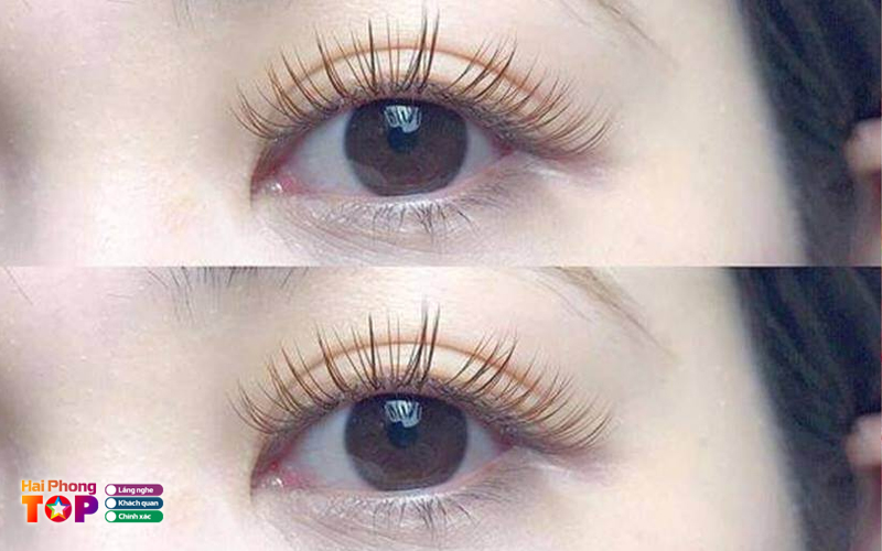 Hami-eyelash-haiphongtoplist