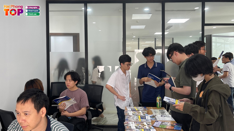 Jellyfish-education-haiphongtoplist