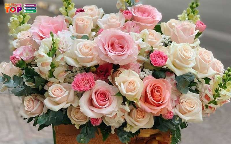 Bean-flowers-haiphongtoplist