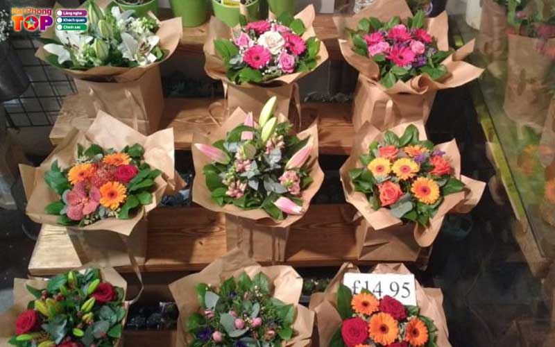 Binh-minh-flowers-haiphongtoplist