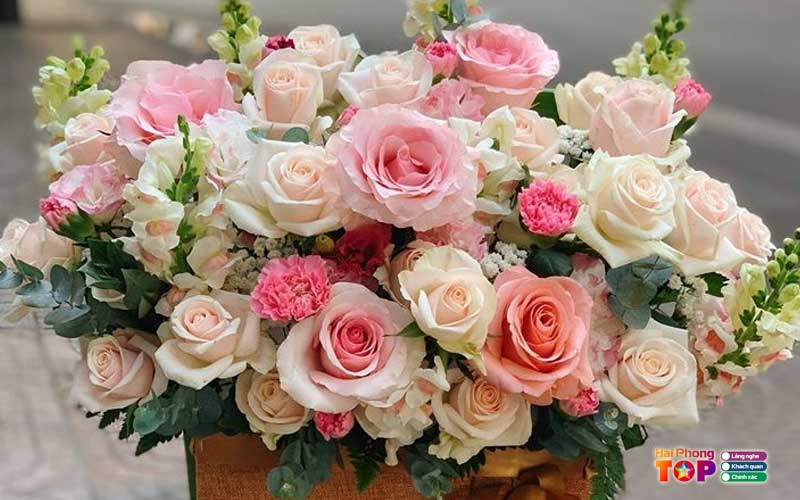 Anh-hong-flowers-haiphongtoplist