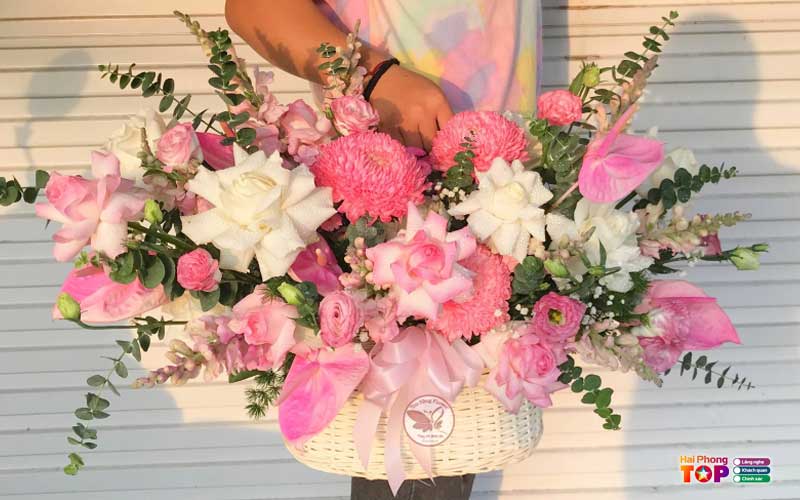 Dollar-flowers-haiphongtoplist