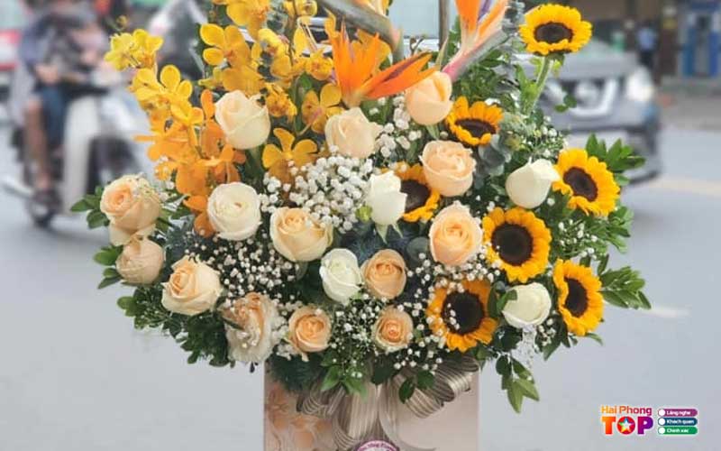 Hoa-thoi-dai-haiphongtoplist