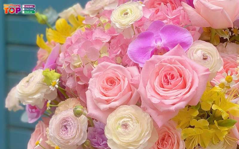 Hoa-tuoi-bb-haiphongtoplist
