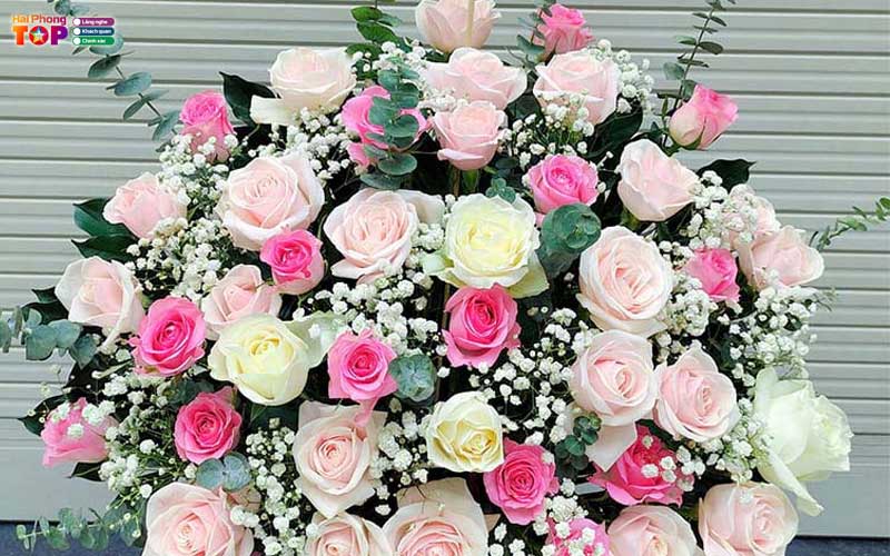 Hoa-tuoi-quynh-mai-haiphongtoplist