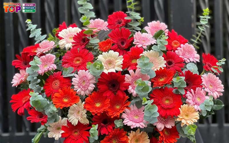 Hoa-tuoi-tu-anh-haiphongtoplist