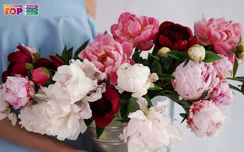 Huyen-flower-haiphongtoplist