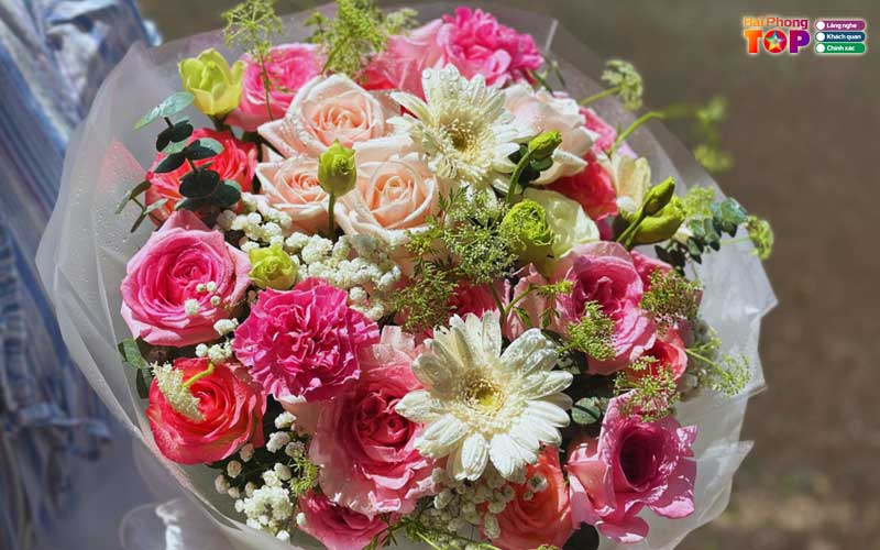 Lan-anh-flower-haiphongtoplist