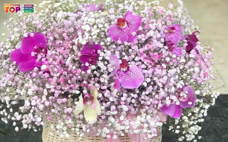 Lavender-flower-haiphongtoplist