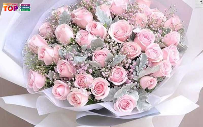 Shop-hoa-co-may-haiphongtoplist