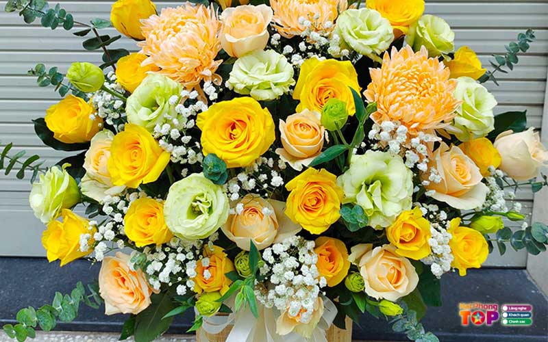 Shop-hoa-ha-chi-haiphongtoplist