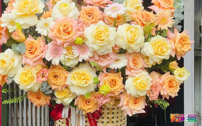 Shop-hoa-nang-haiphongtoplist