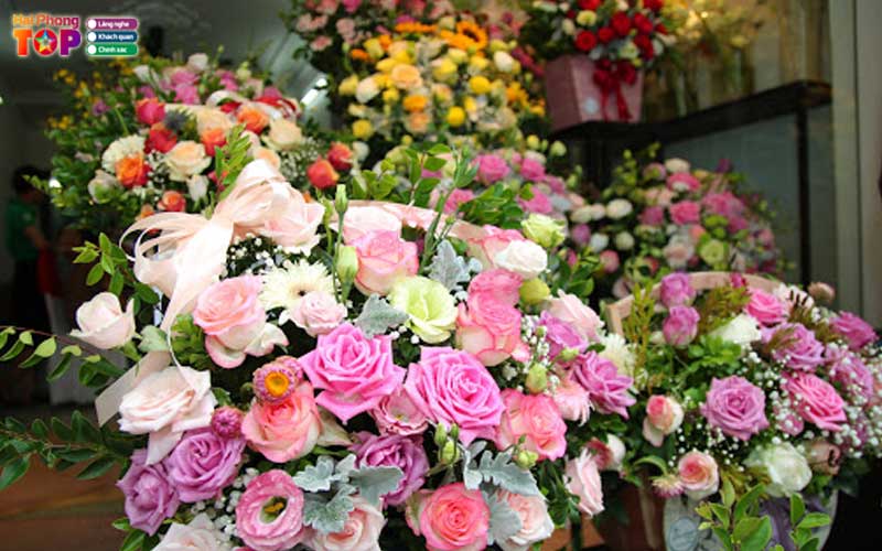 Thao-nguyen-flower-haiphongtoplist