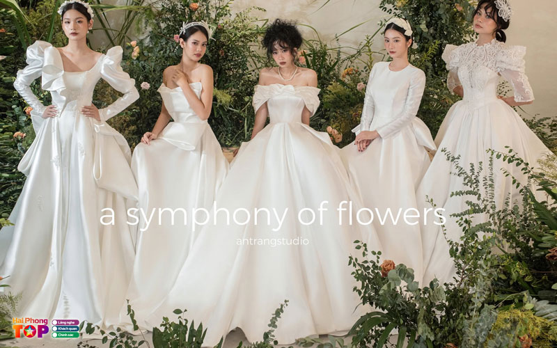 An-trang-wedding-haiphongtoplist
