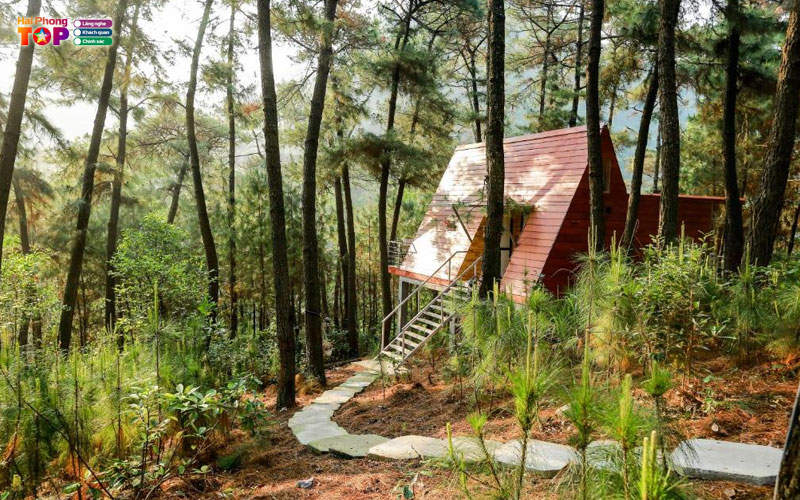 Cat-ba-eco-lodge-resort-haiphongtoplist
