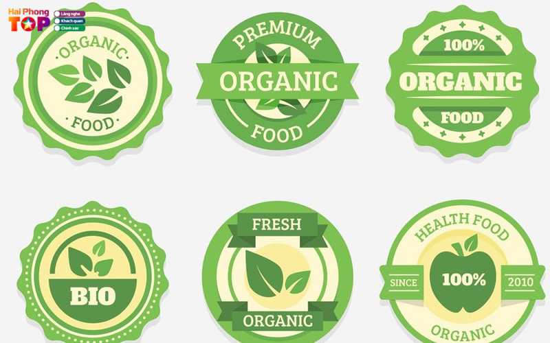 In-truong-phu-haiphongtoplist