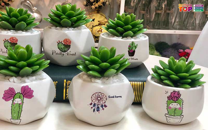 Mai-hien-xanh-haiphongtoplist