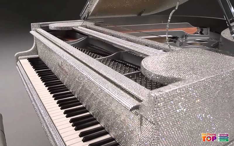 Tygy-haiphongtoplist