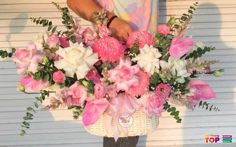 Hoa-tuoi-hong-hanh-haiphongtoplist