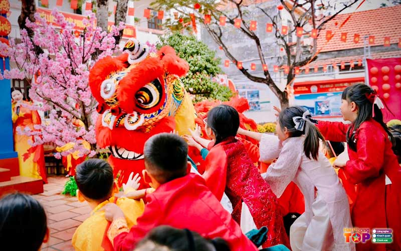 Lan-su-rong-trung-xuan-duong-haiphongtoplist